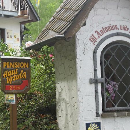 Pension Haus Ursula Koblenz  Bagian luar foto