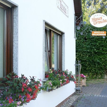 Pension Haus Ursula Koblenz  Bagian luar foto