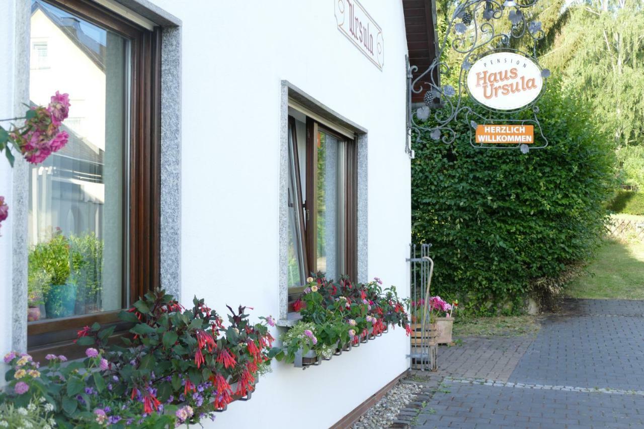 Pension Haus Ursula Koblenz  Bagian luar foto